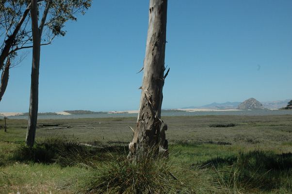 Morro Bay 022.JPG